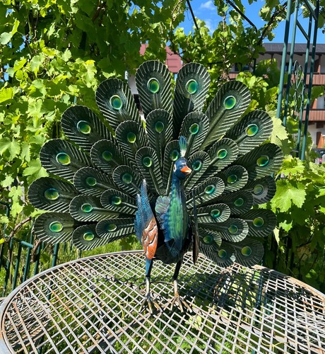 Metall pfau mit großem - metall,