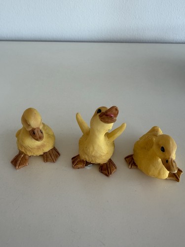 Süße enten küken - süße, von